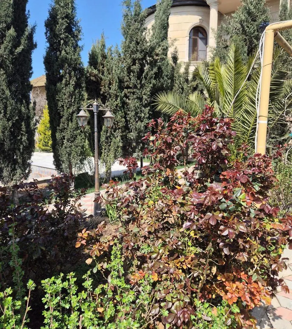 Green Garden Shuvelan Baku